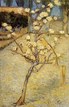 Vincent Van Gogh : Small pear tree in blossom